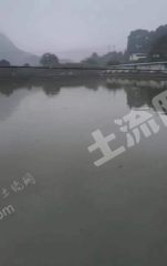 重庆南川区 9亩 坑塘水面 经营权出租