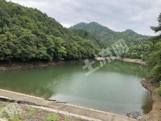 杭州建德市53.26亩坑塘水面经营权出租