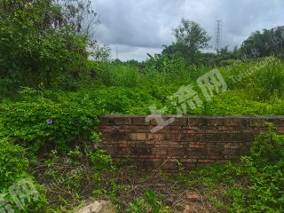 惠城区1000平农村宅基地使用权流转