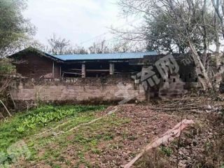 重庆主城140平方米农家庭院使用权出租