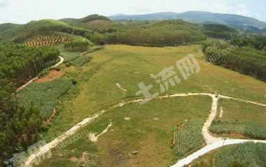 崇左  扶绥县 400亩 水浇地 经营权出租