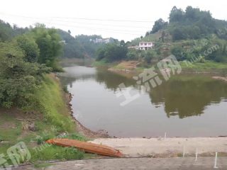 宜宾叙州区300亩水库水面经营权出租t056