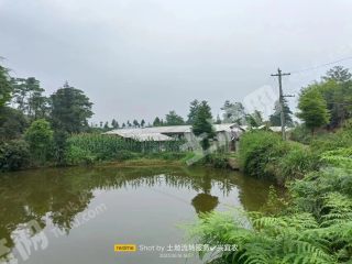 宜宾江安县25亩设施农用地经营权出租