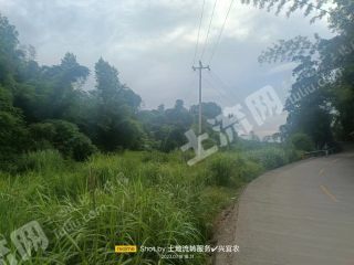 宜宾江安县4亩空闲地使用权出租