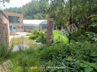 宜宾高县3亩养猪场经营权流转