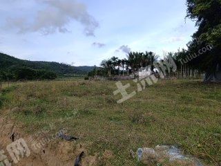 海南陵水黎族自治縣1畝農(nóng)村宅基地使用權(quán)出租