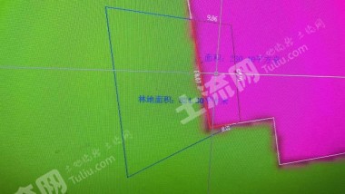 陵水縣清水灣附近國(guó)道二線附近 1054平方米農(nóng)村宅基地使用權(quán)合作