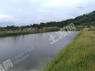 海南陵水黎族自治县123亩水浇地经营权出租