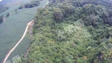 崇左江州区60亩荒地使用权出租