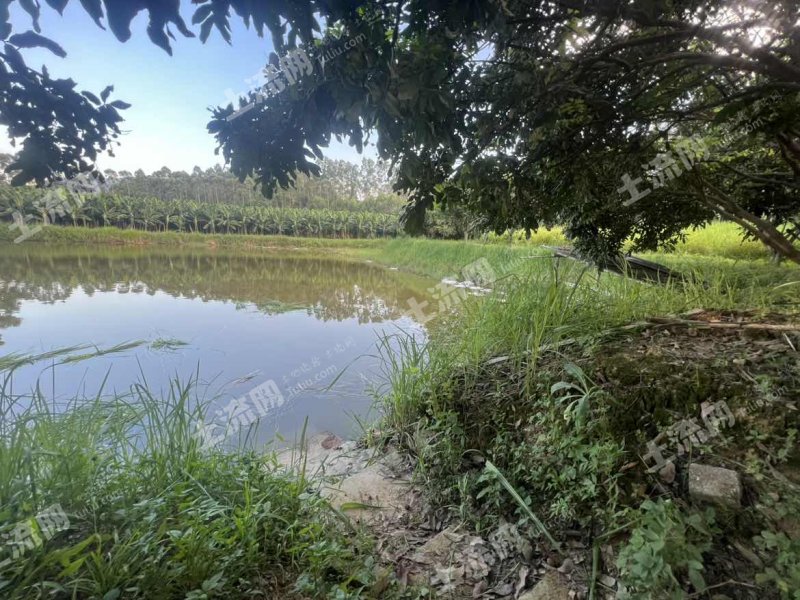 惠州龙门县20亩坑塘水面经营权出租