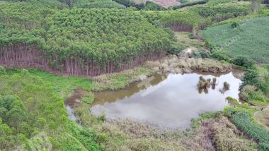 崇左扶绥县80亩水田经营权出租