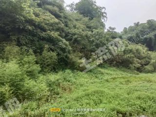 宜宾江安县150亩农场使用权出租