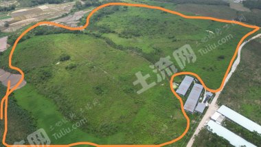 阳江阳西县285亩灌木林地经营权出租