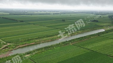 山东潍坊 3亩 水浇地 经营权出租