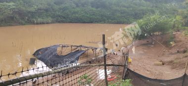 崇左江州区40亩水塘经营权出租