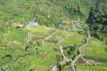 惠东108亩2千平建筑带鱼塘果园耕地山庄使用权出租