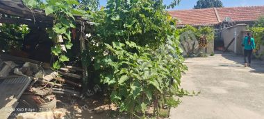 臨沂沂水縣150平方米農(nóng)村宅基地使用權(quán)出租