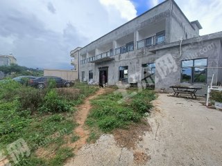 惠州惠城区路边700独栋楼房带15亩果园使用权出租