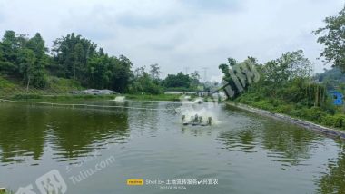 宜宾南溪区33亩对虾养殖场经营权出租