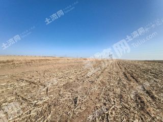 沈阳法库县60亩旱地经营权出租