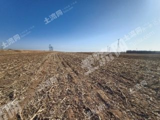 沈阳法库县60亩旱地经营权出租