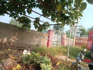 新乡延津县2.5亩大院使用权出租XX1768