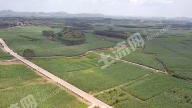 崇左扶绥县1200亩水浇地经营权出租