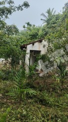 海南萬(wàn)寧市1.5畝農(nóng)村宅基地使用權(quán)出租