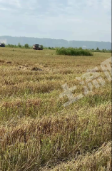 原阳南3000亩退耕还草土地经营权出租XX1776