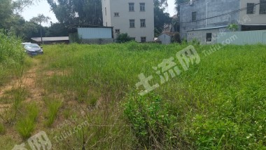 惠城区1200平农村宅基地使用权出租