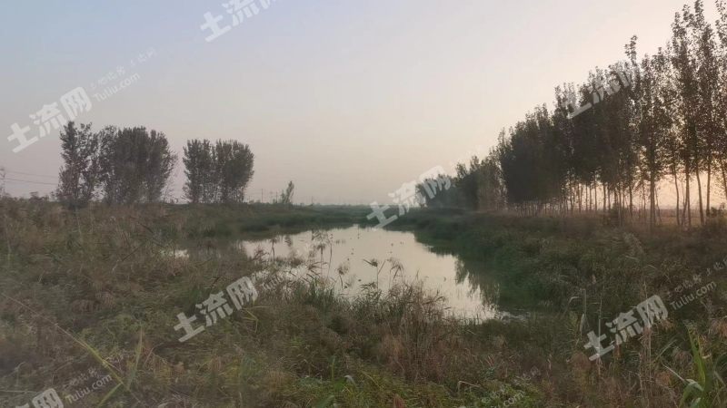 郑州中牟县60亩坑塘水面经营权出租