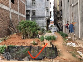 惠城區(qū)小金口104平方米農村宅基地使用權流轉