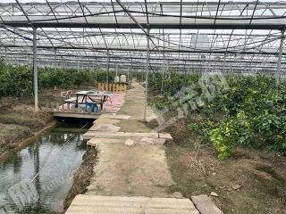 宁波鄞州区18亩设施农用地经营权出租