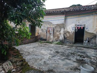 九龙峰3间瓦房使用权出租每年1300元