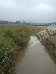 惠东县梁化23耕地带板房经营权出租