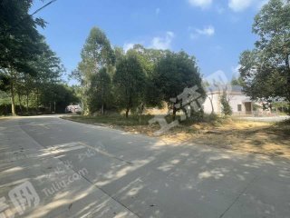 惠州博罗县5亩农村宅基地使用权出租