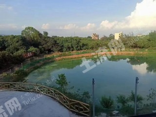 惠州近莞10亩带鱼塘农庄使用权出租