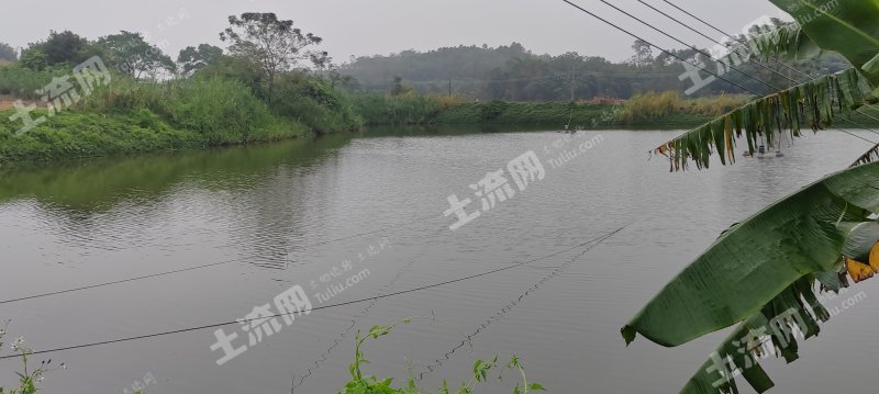 江门恩平市28亩坑塘水面经营权出租