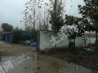 臨沂河?xùn)|區(qū)1.5畝農(nóng)村宅基地使用權(quán)出租