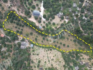 宁波  慈溪市 10亩 杨梅树果园 经营权流转