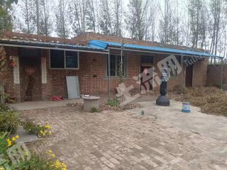 新乡延津县10亩独院经营权出租