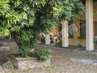 佛山三水区近江10亩农家庭院使用权出租