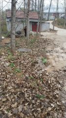 临沂费县100平方米农村宅基地使用权出租