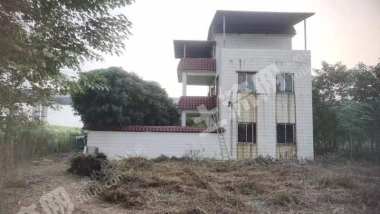 佛山三水区近江边带院子楼房使用权出租