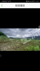 海南保亭黎族苗族自治县136亩园地-果园经营权转让