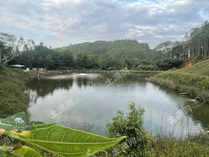 惠州博罗县15亩坑塘水面经营权出租