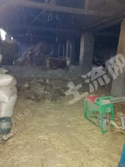 臨沂河東區(qū)1.9畝農(nóng)村宅基地使用權(quán)出租