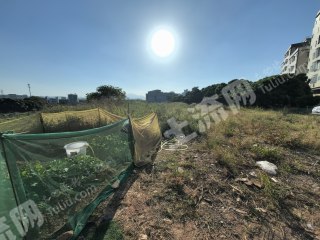 惠州鎮(zhèn)隆1000平方米集體建設(shè)用地使用權(quán)轉(zhuǎn)讓