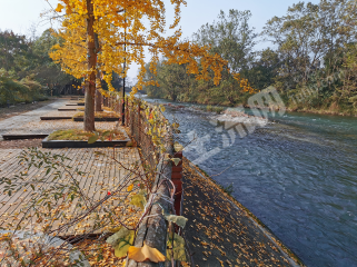 郫都區(qū)4畝河畔農(nóng)莊整體使用權(quán)對(duì)外出租或轉(zhuǎn)讓