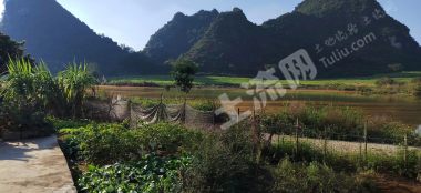 崇左大新县180亩坑塘水面经营权出租